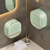 Wall Mounted Soap Holder with Drain Tray