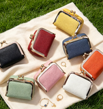 Mini Leather Jewelry Organizer Purse with Kiss Lock